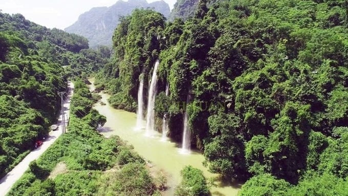 The Than Sa - Phuong Hoang Nature Reserve, which covers an area of 18,700 hectares, is located within the administrative boundaries of eight communes and the town of Vo Nhai district in Thai Nguyen province.