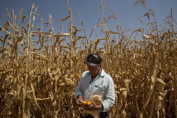 Photo: Dado Galdieri/Bloomberg