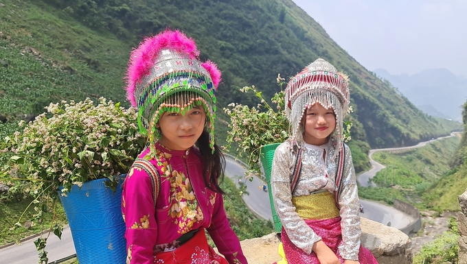 20230520_104948-172000_492-172000.jpg Ngày hội Truyền thông Hà Giang năm 2023 diễn ra từ ngày 25 đến ngày 28/10. Ảnh: Đào Thanh.