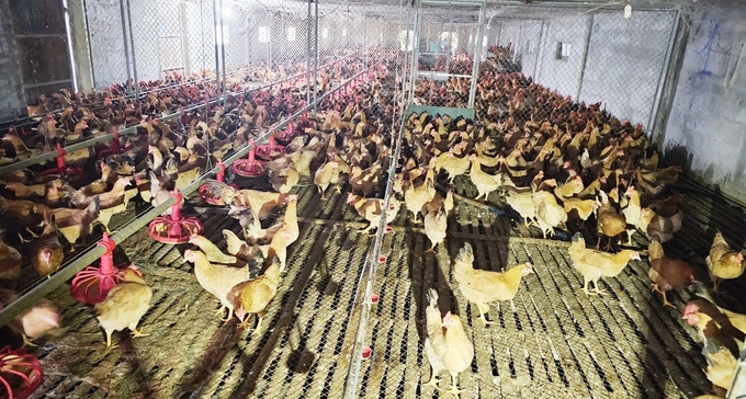 The area where eggs are selected and put into the incubator. Photo: Tam Phung.