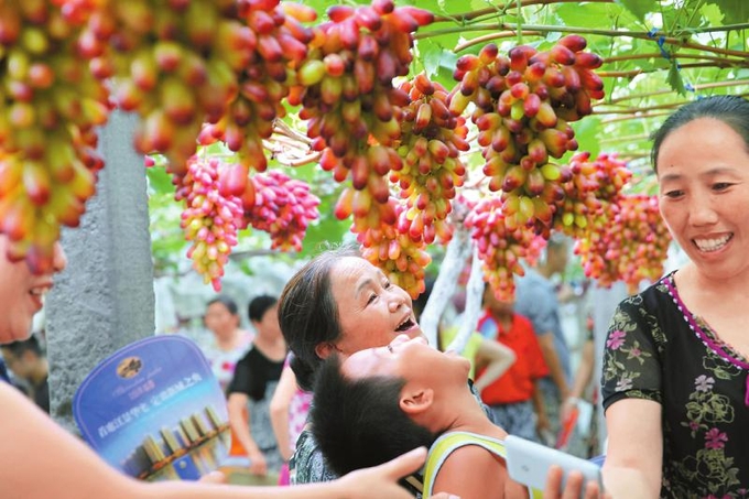 85c0d769f2c8d6b69f7c171efb0870fb-113230_408.jpg Dân làng Quả Viên tại Lễ hội hái nho.