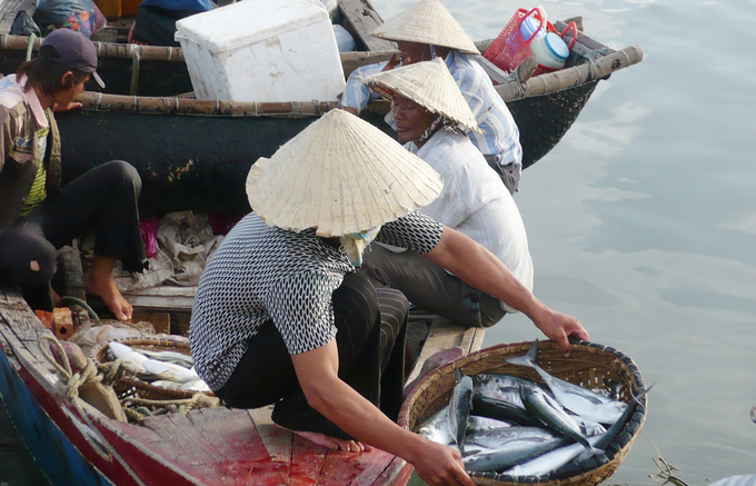 2-140929_831.jpg Sản lượng đánh bắt tăng cao nhờ mua sắm ngư lưới cụ, cho nhiều ngư dân giảm nghèo vươn lên. Ảnh: L. An