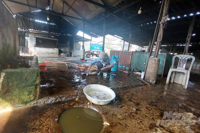Most of the centralized slaughterhouses in Quang Tri have degraded. Photo: Vo Dung.