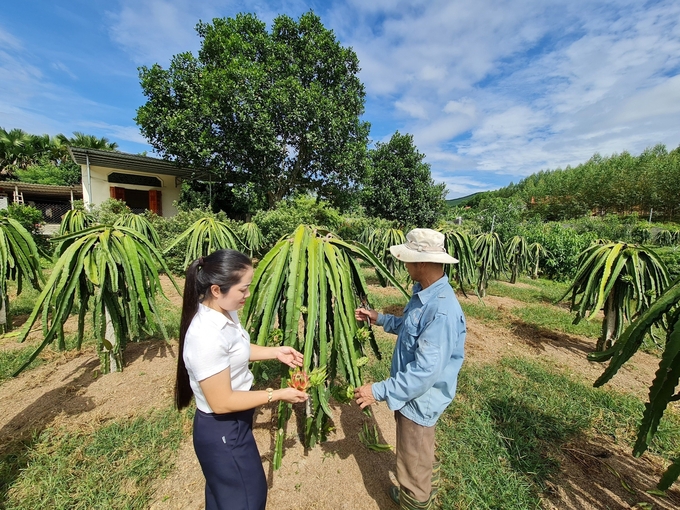 Nhiều sản phẩm nông sản của Đồng Hỷ đã tìm được chỗ đứng trên thị trường nhờ được phát triển theo tiêu chuẩn GAP, hướng hữu cơ. Ảnh: Đào Thanh.