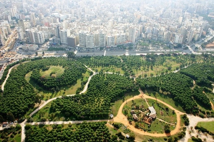 The Green Cities Initiative focuses on improving the urban environment, strengthening urban-rural linkages and the resilience of urban food systems, services and populations to external shocks.