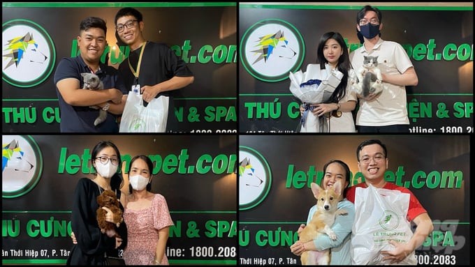 Giá xuất chuồng chó con giống Golden, Coggi, Bully,... rẻ nhất cũng khoảng 3,5 triệu đồng, những con giá cao lên tới trên 20 triệu đồng. Ảnh: Trần Phi.
