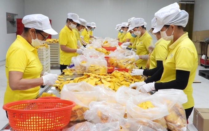 Nhờ áp dụng công nghệ tiên tiến, sản phẩm xoài sấy dẻo Phú Lộc Thành giữ được hương vị vốn có, được thị trường trong và ngoài nước ưa chuộng. Ảnh: Trần Trung.