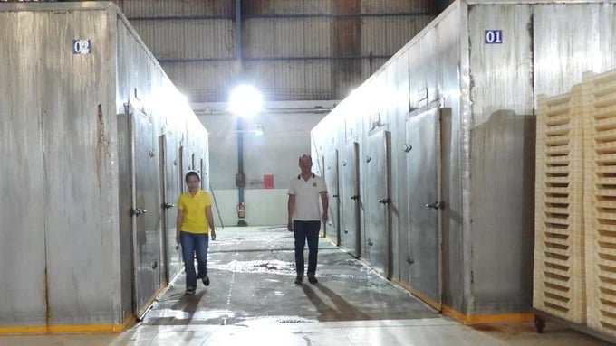 Phu Loc Thanh Production - Trading Company Limited effectively applies science and technology to freezing and storing raw materials for deep processing. Photo: Tran Trung.