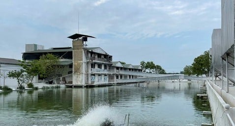 htx-hien-dai-165465581723542270131-111932_545.jpg Hệ thống chuồng tầng nuôi lợn của HTX Hoàng Long. Ảnh: Tư liệu.
