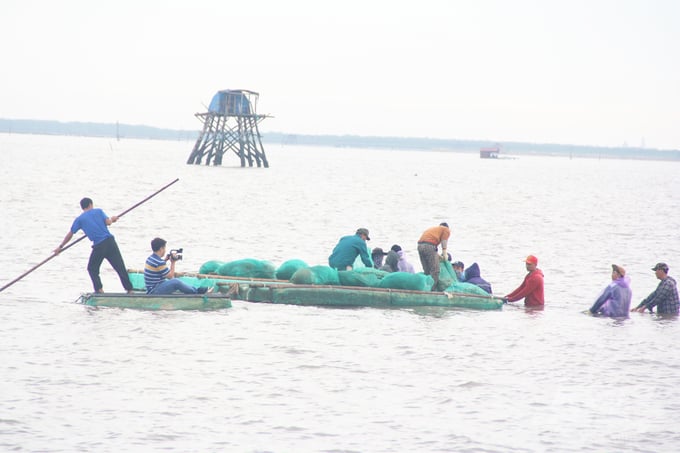 mot-buoi-theo-chan-doi-tau-khai-thac-ngao-113850_824-113851.jpg Có sự xuất hiện của phóng viên Báo Nông nghiệp Việt Nam, không khí thu hoạch càng trở nên sôi động hơn. Ảnh: Trung Quân.