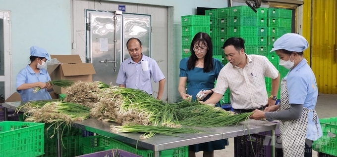 a-1-112048_120-112048.jpg Nhiều mô hình liên kết sản xuất nông nghiệp của Đồng Nai đã mang lại hiệu quả cao. Ảnh: Minh Sáng.