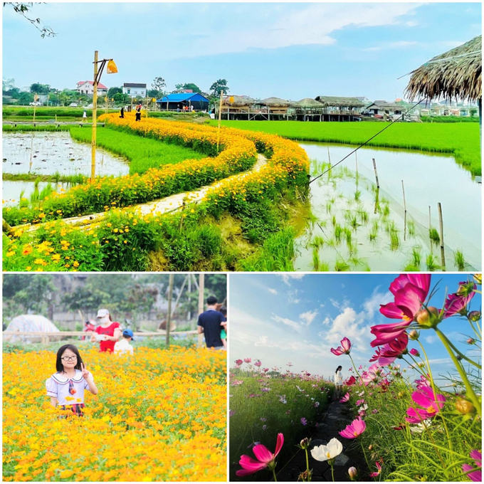 z4870473514988_78d76b22604387eb01e937de8d9f23f8-112306_476.jpg Mô hình lúa, cá kết hợp du lịch sinh thái ở xã Thạch Hạ thu hút đông đảo du khách đến tham quan, trải nghiệm. Ảnh: Hưng Phúc.
