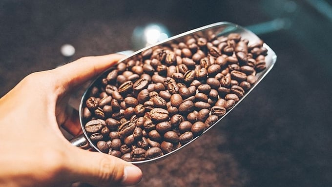 Update on the latest domestic and world coffee prices on 11/16/2023