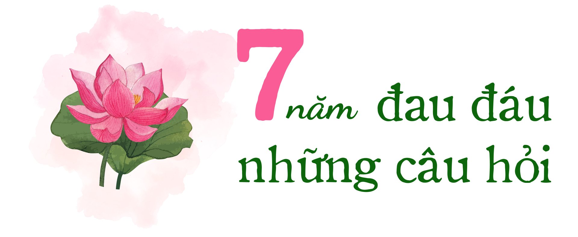 hoi-quan-dat-sen-hong-7-nam-kien-tao-va-se-chia-112610_116.jpg