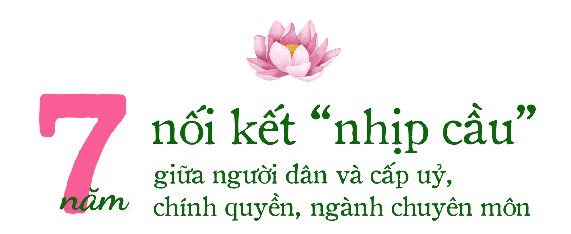 hoi-quan-dat-sen-hong-7-nam-kien-tao-va-se-chia-112630_851.jpg