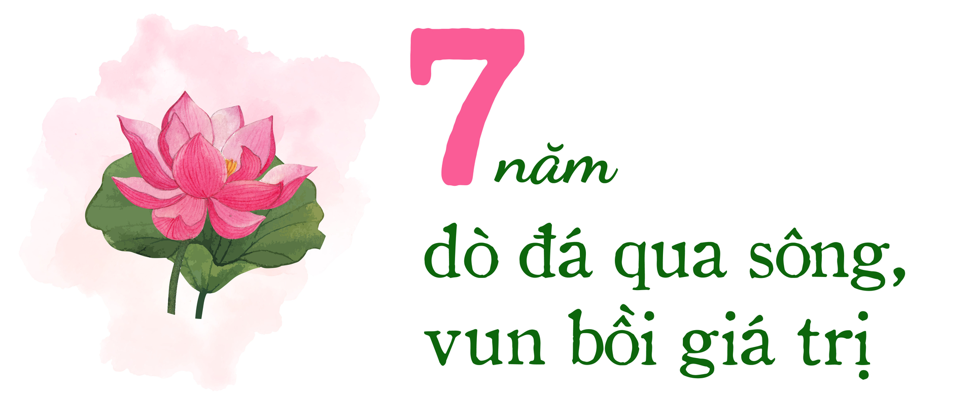 hoi-quan-dat-sen-hong-7-nam-kien-tao-va-se-chia-112638_522.jpg