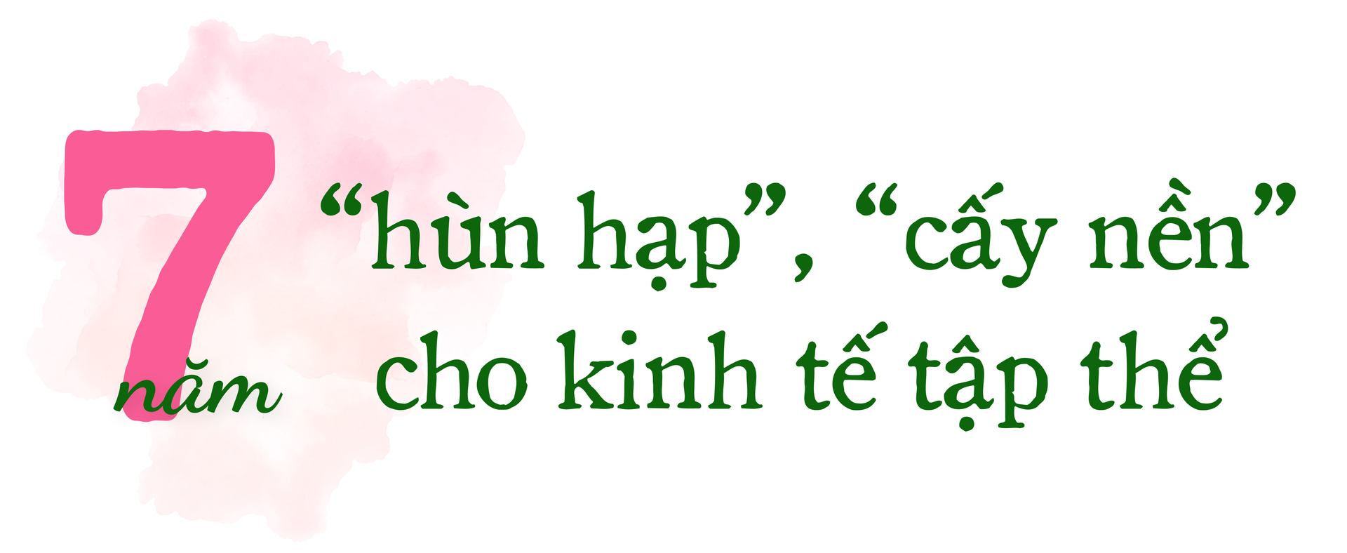 hoi-quan-dat-sen-hong-7-nam-kien-tao-va-se-chia-112648_137.jpg