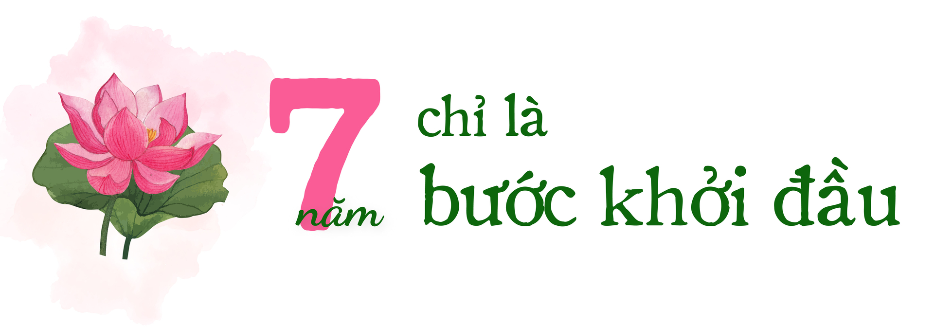 hoi-quan-dat-sen-hong-7-nam-kien-tao-va-se-chia-112707_91.jpg