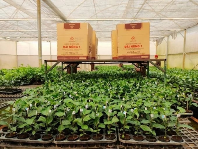 In 2021, Nafoods implemented a new initiative involving origin traceability stamps.
