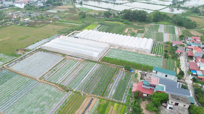 dji_0243-102241_496.jpg