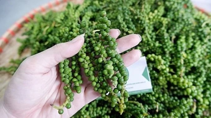Update on the latest domestic and world pepper prices on 11/20/2023