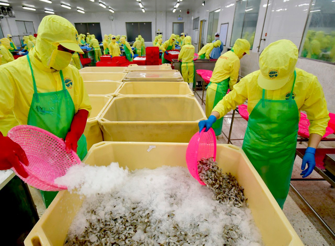 Seafood exports are still facing difficulties due to the general influence of the world situation. Photo: Trong Linh.