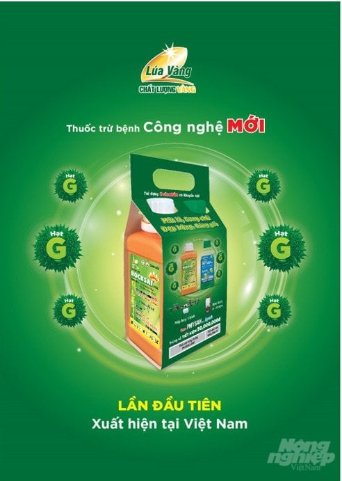 anh-4-105319_183-105319.jpg Bổ sung công nghệ hạt G vào sản phẩm Rocksai trong cặp Rocksai - Physan giúp lúa mát lá, sung chồi, đẹp bông và cứng gốc. Ảnh: Lê Hoàng Vũ.