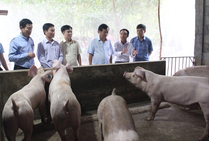 dong-chi-ho-dai-nam-uy-vien-ban-thuong-vu-tinh-uy-truong-ban-tuyen-giao-tinh-uy-tham-mo-hinh-165149_18.jpg Mô hình nuôi lợn an toàn sinh học, theo hướng hữu cơ cho lợi nhuận tăng 1,7 lần so với bình thường. Ảnh: Việt Toàn.
