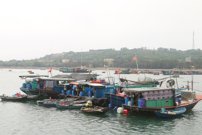 phong-chong-thien-tai-4-174827_555.jpg Đảo Bạch Long Vỹ không chỉ là nơi tránh trú bão an toàn cho ngư dân mà còn là nơi để các tàu cá mua rau xanh, bổ sung nước ngọt. Ảnh: Đinh Mười.