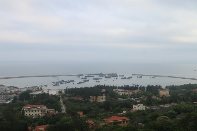 phong-chong-thien-tai-9-174849_675.jpg Âu tàu tránh trú bão ở đảo Bạch Long Vĩ nhìn từ trên cao. Ảnh: Đinh Mười.