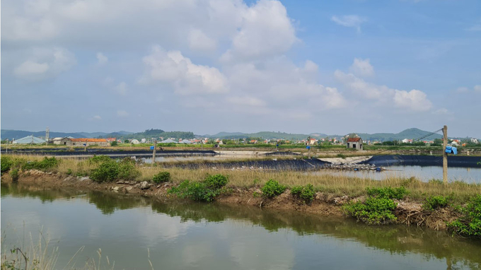 Môi trường nuôi thủy sản không ổn định, nếu lơ là sẽ gia tăng mức độ rủi ro. 
