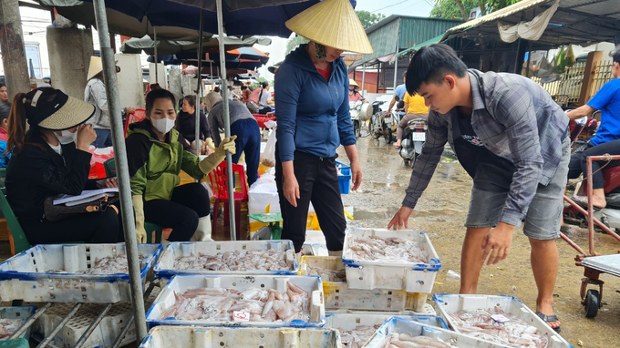 Sự chủ động, sâu sát của Chi cục Chăn nuôi và Thú y Nghệ An góp phần quan trọng phát triển kinh tế từ thủy sản. Ảnh: Việt Khánh.