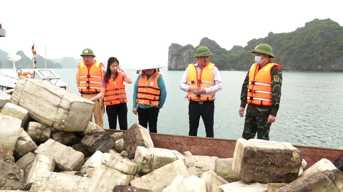 Officials from the Van Don district's government inspecting the handling of local unauthorized aquacultural activities. Photo: Nguyen Thanh.