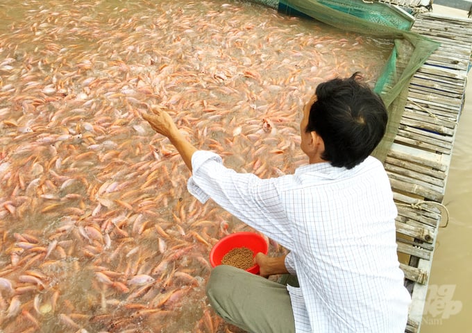 Since the beginning of the year, An Giang Animal Husbandry and Veterinary Sub-department have deployed 5 rounds of sample collection to monitor diseases in aquatic products. Photo: Le Hoang Vu.