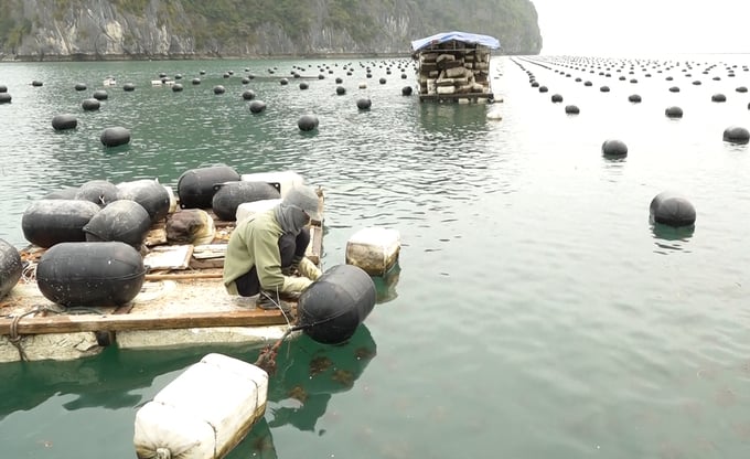Many regions within the province are facing challenges in terms of constructing projects and creating detailed roadmaps for the planning of aquaculture areas.