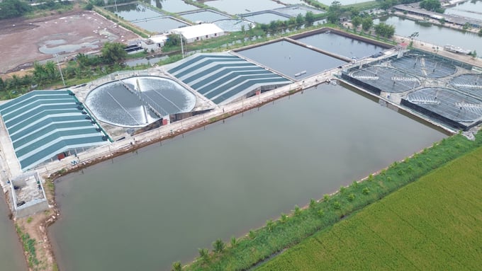 dji_0235-082622_998.jpg Cơ sở nuôi tôm vụ đông của anh Dương Viết Lynh ở huyện Kim Sơn, tỉnh Ninh Bình. Ảnh: Huy Bình.