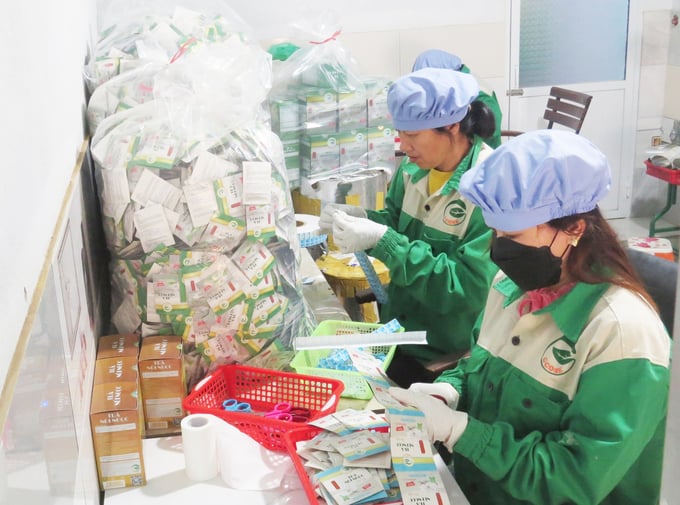 Trà Núi Ngọc là sản phẩm hữu cơ, không sử dụng chất bảo quản, không sử dụng phụ gia, phẩm màu, hương liệu. Ảnh: Đinh Mười.