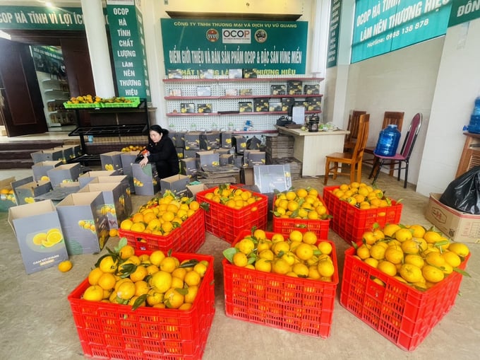 Cam Vũ Quang được đầu tư sơ chế, đóng gói, xây dựng thương hiệu ngày càng bài bản. Ảnh: Ánh Nguyệt.