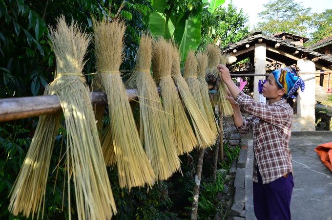 Phơi rơm để làm chổi tâm linh. Ảnh: Dương Đình Tường.