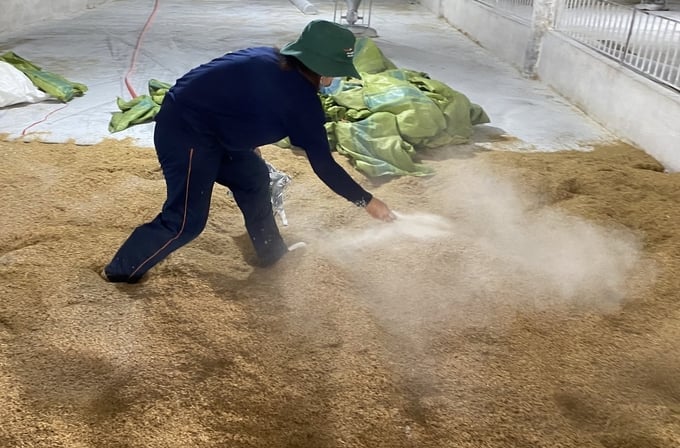 Bổ sung men vi sinh cho đệm lót sinh học ở trang trại của Công ty Trang Linh. Ảnh: Hoàng Trọng.