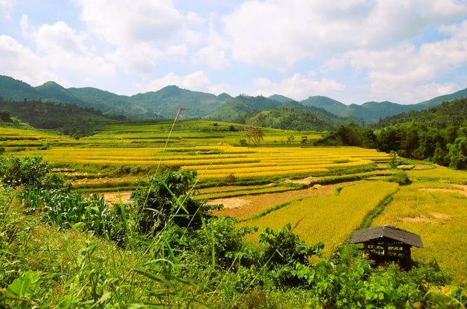 Cảnh tuyệt đẹp của bản Pồm. Ảnh: Dương Đình Tường.