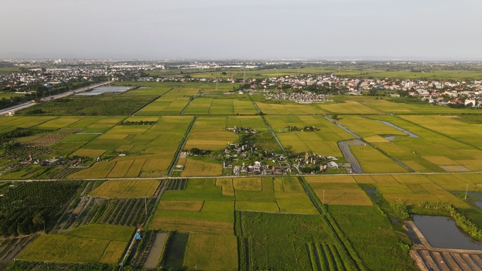 phat-trien-che-bien-nong-san-phuc-vu-xuat-khau-213120_534.jpg Dân số ở khu vực nông thôn và hoạt động trong lĩnh vực nông nghiệp ở Hải Phòng vẫn chiếm hơn 50%. Ảnh: Đinh Mười.