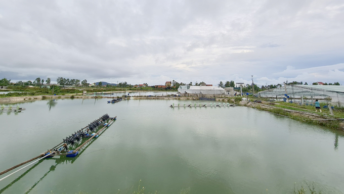 z4936501363754_91f67ea5a23f686f4d9f7244aad64380-183141_949.jpg Hạn mức '5 năm' khiến nhiều hộ nuôi tôm trên địa bàn Nghệ An đắn đo, bối rối. Ảnh: Việt Khánh.