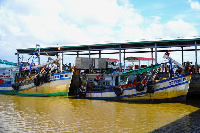 Cảng cá Trần Đề được tập trung khai thác, phát triển thu hút đầu tư để trở thành trung tâm nghề cá khu vực ĐBSCL. Ảnh: Kim Anh.