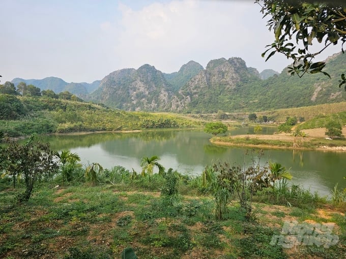 nuoi-ga-bang-thao-duoc-khong-lo-dich-benh-175838_957-175838.jpg Khu vực chăn nuôi hình lòng chảo, một bên là núi đá, bên kia là hồ nước rộng mênh mông, không khác gì khu di lịch sinh thái. Ảnh: Quốc Toản.