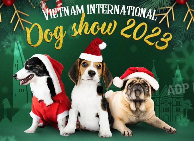 thumbnail-085356_801.jpg Hội thi chó giống Quốc tế - FCI Vietnam International Dog Show sẽ quy tụ hàng trăm chú chó đẹp đến từ các trại giống của Việt Nam, Trung Quốc, Hàn Quốc, Thái Lan...