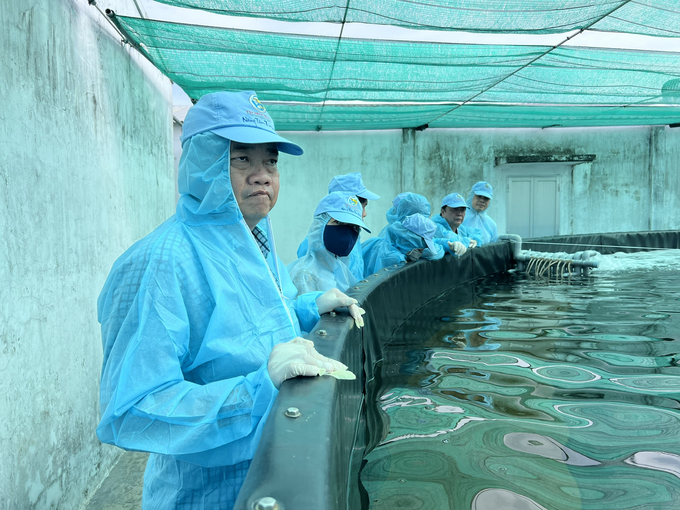 Ông Huỳnh Quốc Việt, Chủ tịch UBND tỉnh Cà Mau, tham quan mô hình nuôi tôm Công ty Việt Úc tại huyện Ngọc Hiển. Ảnh: Trọng Linh.