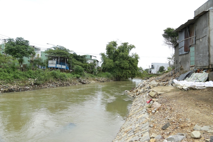 2-070420_232.jpg Việc gia cố đê sông Gò Chàm lấn chiếm không gian thoát lũ là vi phạm quy định pháp luật hiện hành. Ảnh: V.Đ.T.