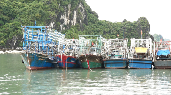 Các công nghệ của Viện Nghiên cứu Hải sản sẽ mang lại hướng đi mới cho ngư dân các tỉnh thành ven biển. Ảnh: Nguyễn Thành.