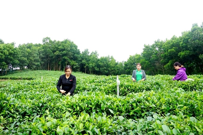 Developing Production Unit codes helps people improve production efficiency.